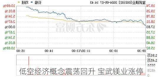 低空经济概念震荡回升 宝武镁业涨停