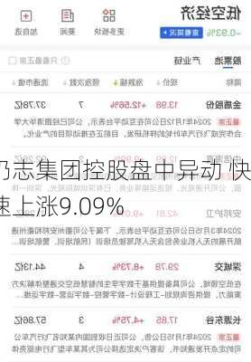 仍志集团控股盘中异动 快速上涨9.09%