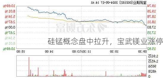 硅锰概念盘中拉升，宝武镁业涨停