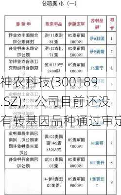 神农科技(300189.SZ)：公司目前还没有转基因品种通过审定