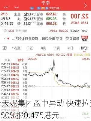 雅天妮集团盘中异动 快速拉升6.50%报0.475港元