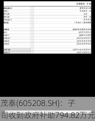 永茂泰(605208.SH)：子公司收到政府补助794.82万元