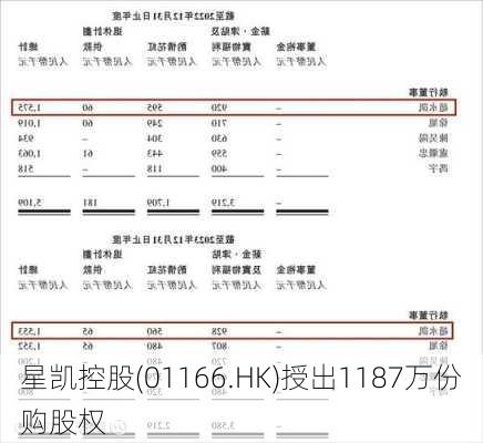 星凯控股(01166.HK)授出1187万份购股权