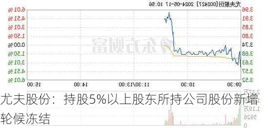 尤夫股份：持股5%以上股东所持公司股份新增轮候冻结