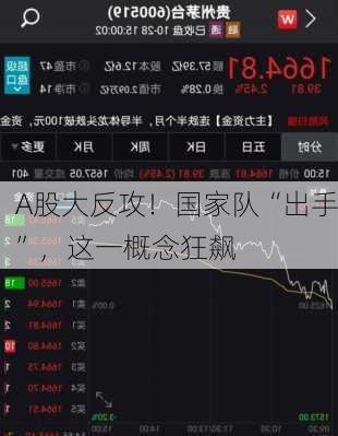 A股大反攻！国家队“出手”，这一概念狂飙