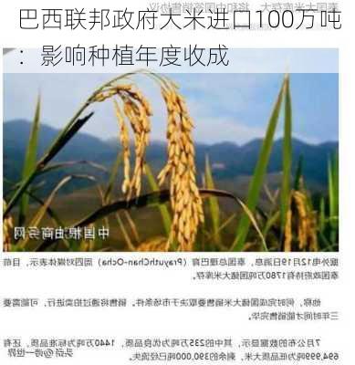 巴西联邦政府大米进口100万吨：影响种植年度收成