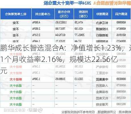 鹏华成长智选混合A：净值增长1.23%，近1个月收益率2.16%，规模达22.56亿元