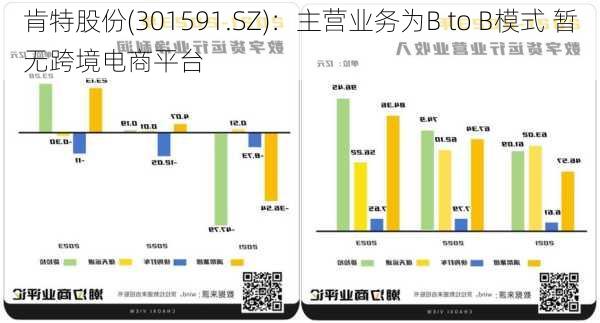 肯特股份(301591.SZ)：主营业务为B to B模式 暂无跨境电商平台