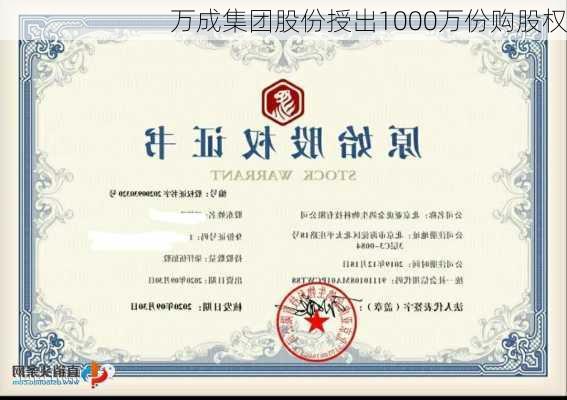 万成集团股份授出1000万份购股权