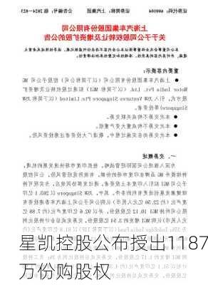 星凯控股公布授出1187万份购股权