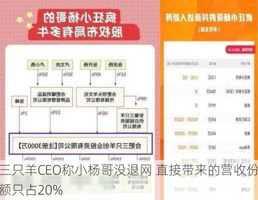 三只羊CEO称小杨哥没退网 直接带来的营收份额只占20%