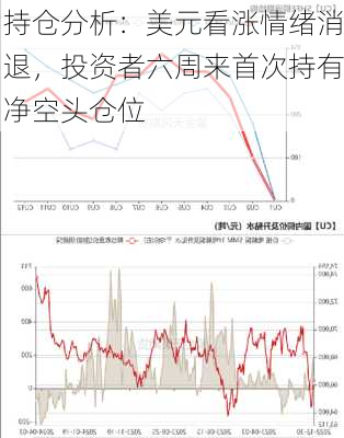 持仓分析：美元看涨情绪消退，投资者六周来首次持有净空头仓位