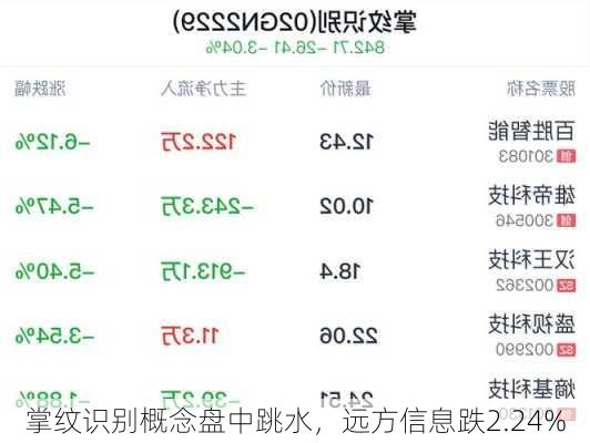 掌纹识别概念盘中跳水，远方信息跌2.24%