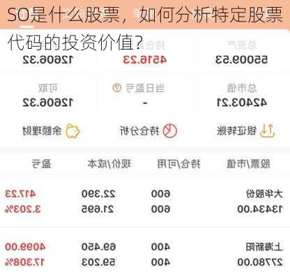 SO是什么股票，如何分析特定股票代码的投资价值？