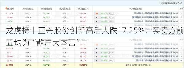 龙虎榜丨正丹股份创新高后大跌17.25%，买卖方前五均为“散户大本营”