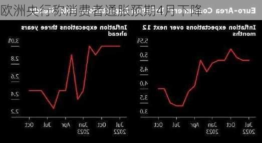 欧洲央行称消费者通胀预期4月下降