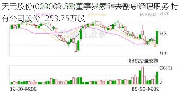 天元股份(003003.SZ)董事罗素辞去副总经理职务 持有公司股份1253.75万股