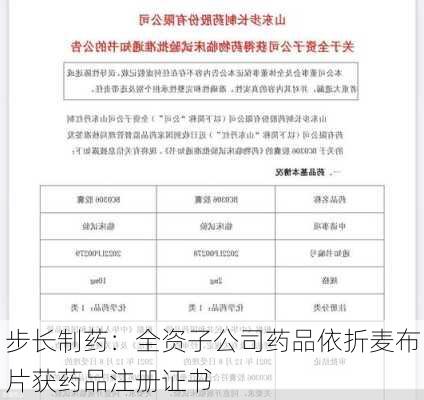 步长制药：全资子公司药品依折麦布片获药品注册证书