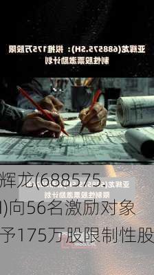 亚辉龙(688575.SH)向56名激励对象授予175万股限制性股票