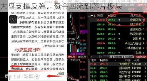 大盘支撑反弹，资金回流到芯片板块