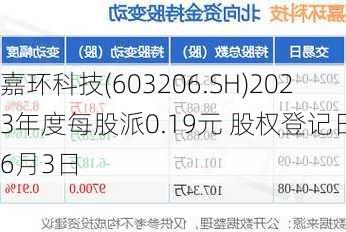 嘉环科技(603206.SH)2023年度每股派0.19元 股权登记日为6月3日