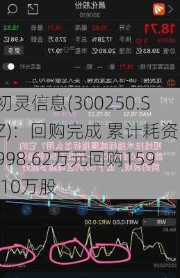 初灵信息(300250.SZ)：回购完成 累计耗资1998.62万元回购159.10万股