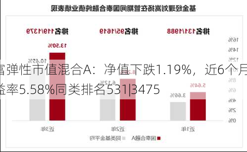 国富弹性市值混合A：净值下跌1.19%，近6个月收益率5.58%同类排名531|3475