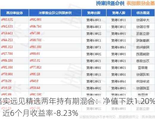 嘉实远见精选两年持有期混合：净值下跌1.20%，近6个月收益率-8.23%