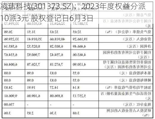 凌玮科技(301373.SZ)：2023年度权益分派10派3元 股权登记日6月3日