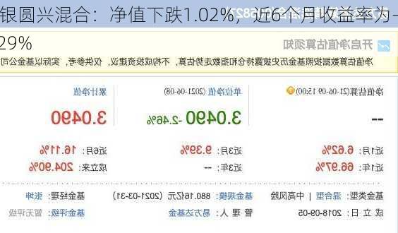 工银圆兴混合：净值下跌1.02%，近6个月收益率为-3.29%