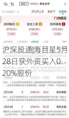 沪深股通|海目星5月28日获外资买入0.20%股份