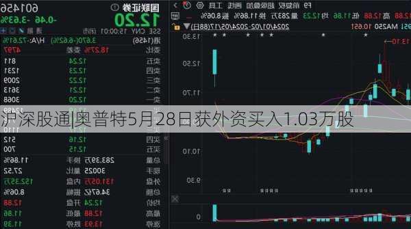 沪深股通|奥普特5月28日获外资买入1.03万股