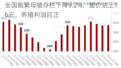 全国能繁母猪存栏下降9.2%，猪价站上16元，养殖利润回正