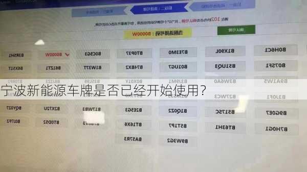 宁波新能源车牌是否已经开始使用？