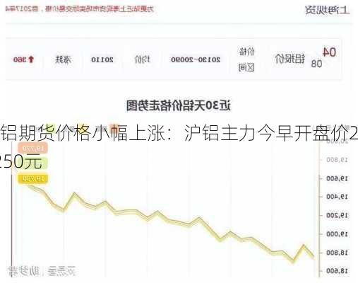 沪铝期货价格小幅上涨：沪铝主力今早开盘价21250元