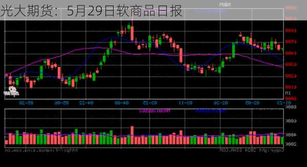 光大期货：5月29日软商品日报