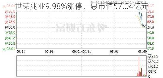 世荣兆业9.98%涨停，总市值57.04亿元