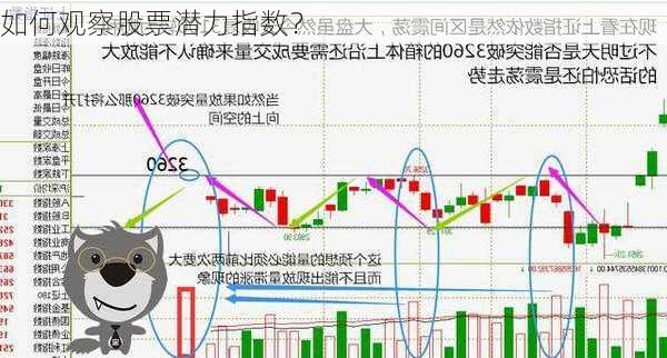 如何观察股票潜力指数？