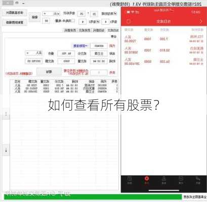 如何查看所有股票？