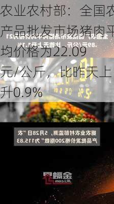 农业农村部：全国农产品批发市场猪肉平均价格为22.09元/公斤，比昨天上升0.9%