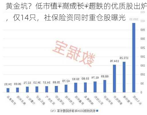 黄金坑？低市值+高成长+超跌的优质股出炉，仅14只，社保险资同时重仓股曝光