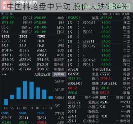 中国科培盘中异动 股价大跌6.34%