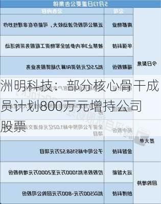 洲明科技：部分核心骨干成员计划800万元增持公司股票