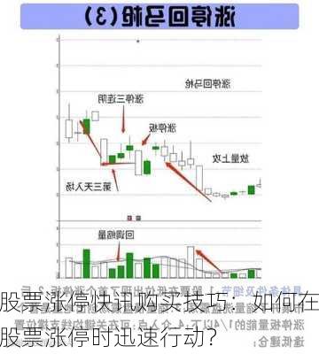 股票涨停快讯购买技巧：如何在股票涨停时迅速行动？