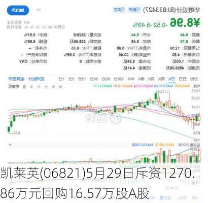 凯莱英(06821)5月29日斥资1270.86万元回购16.57万股A股