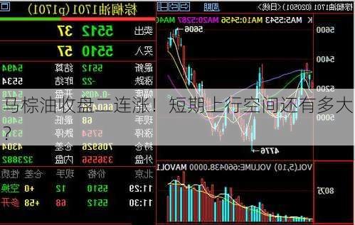 马棕油收盘二连涨！短期上行空间还有多大？