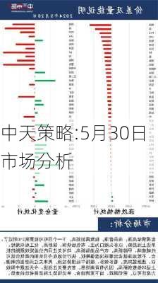 中天策略:5月30日市场分析