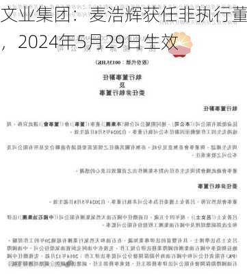 文业集团：麦浩辉获任非执行董事，2024年5月29日生效