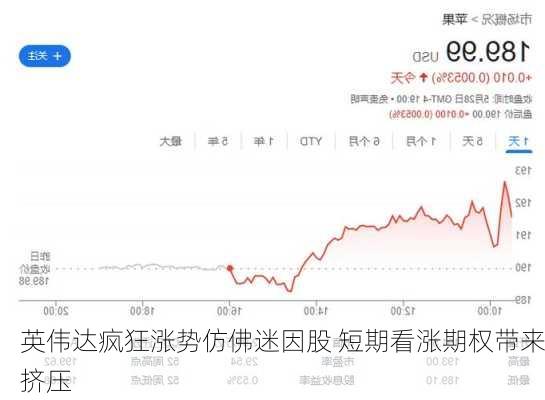 英伟达疯狂涨势仿佛迷因股 短期看涨期权带来挤压