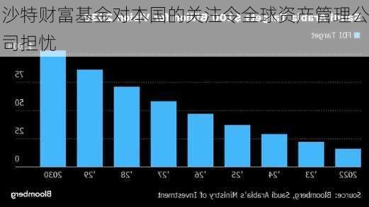 沙特财富基金对本国的关注令全球资产管理公司担忧